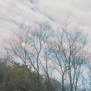 Meet your Posher, Anja